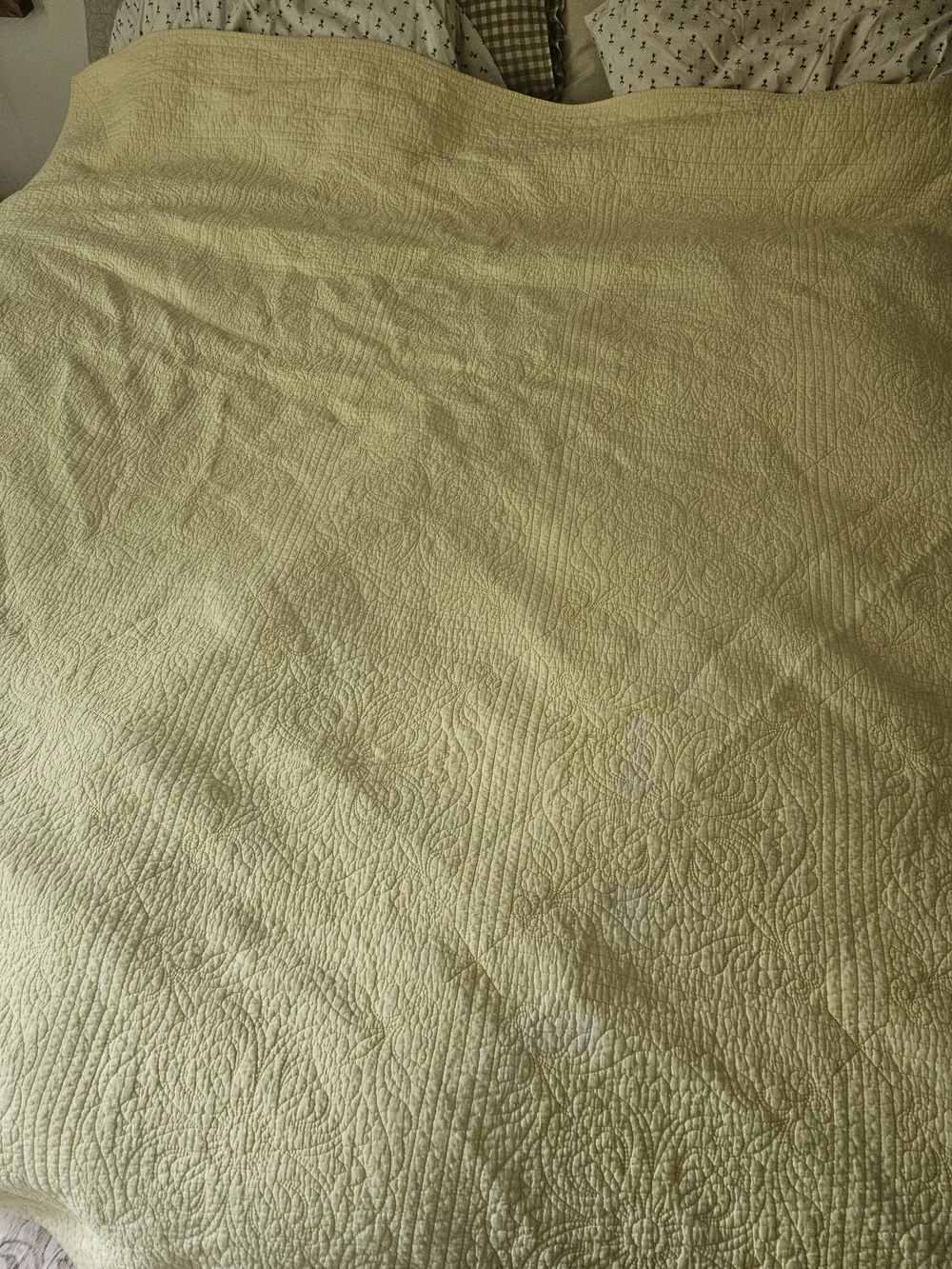 Classic pale yellow